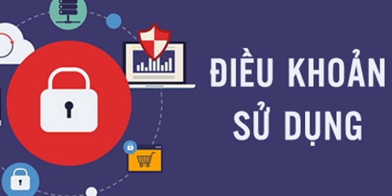Lưu Ý Quan Trọng Khi Đồng Ý Điều Khoản Và Điều Kiện
